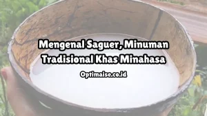 manfaat saguer untuk kesehatan