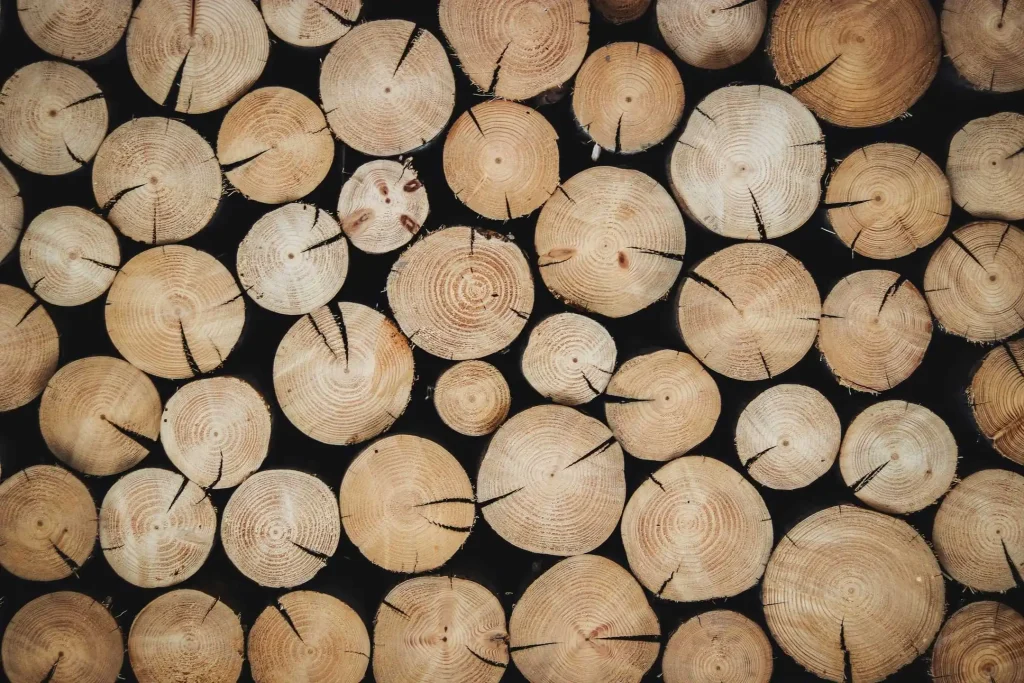 3 Cara Menghitung Kubikasi Kayu untuk Pemula hingga Profesional