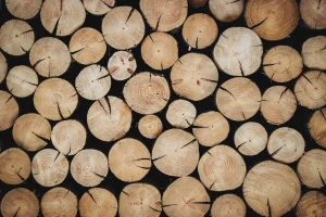 3 Cara Menghitung Kubikasi Kayu untuk Pemula hingga Profesional