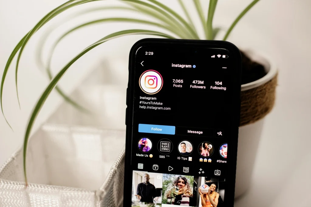 Cara Download Video Instagram Melalui SaveInsta