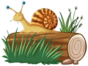 Dongeng Keong Mas Lengkap dari Asal Usul dan Pesan Moralnya