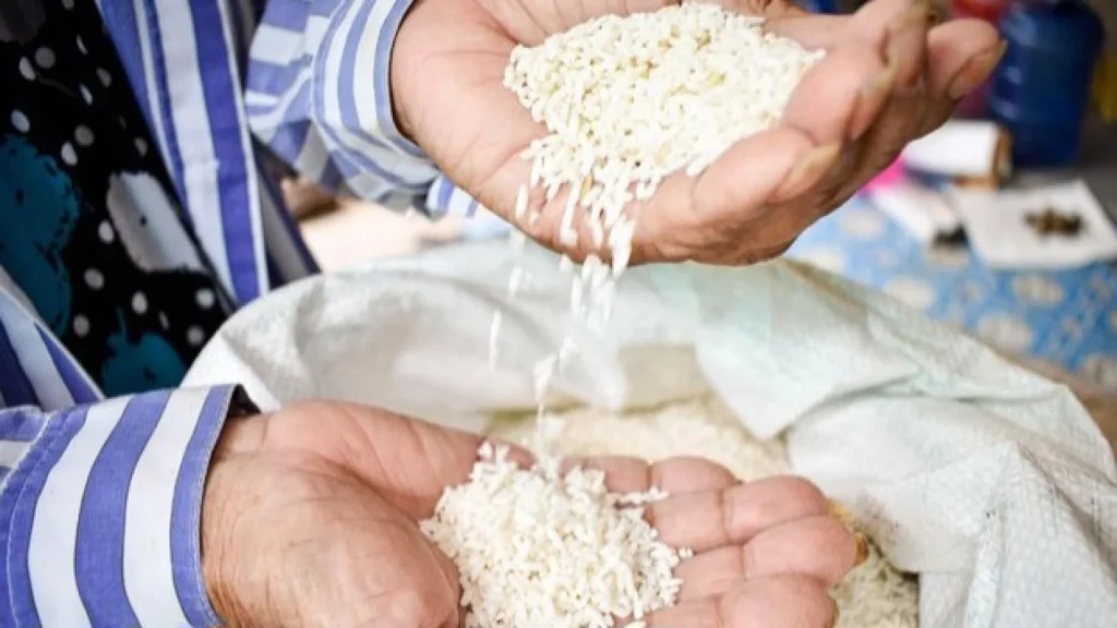 apa itu Zakat Fitrah