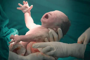 Terbongkar! 17 Arti Mimpi Melahirkan Dan Angka Erek Terbaru - Daftar Arti Mimpi Melahirkan Dan Angka Main Erek 2D 3D 4D