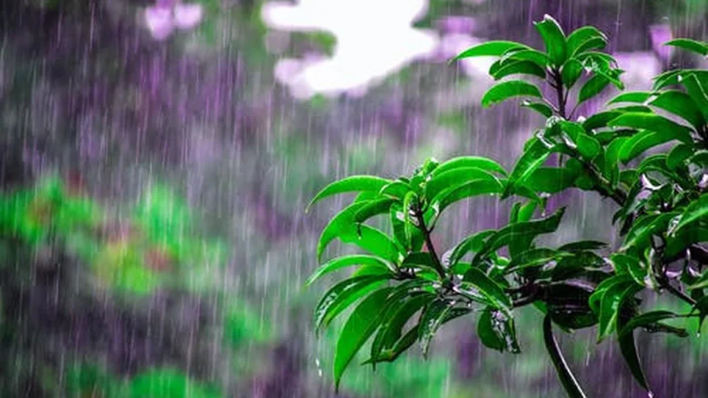 Doa Ketika Turun Hujan lebat