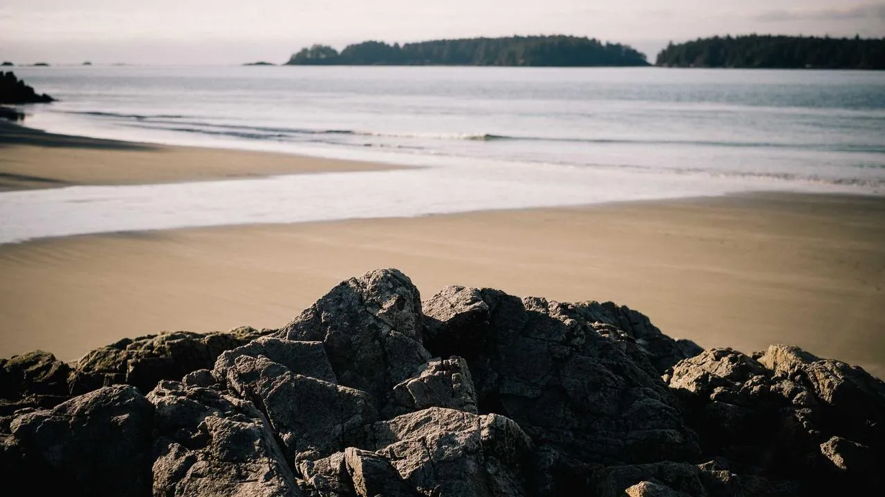 Pakar SEO Malang: Solusi Trafik Organik untuk Brand Anda