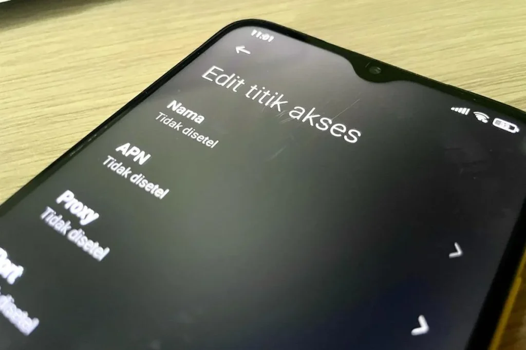 APN Telkomsel